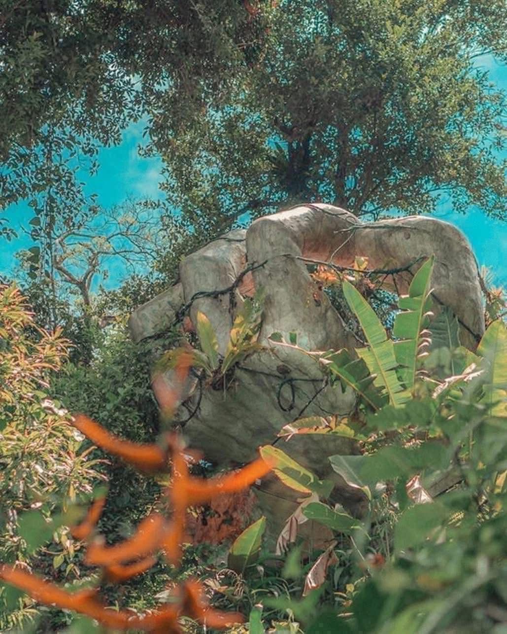 Cable Car Tour + The Hand of Arenal - Image 2